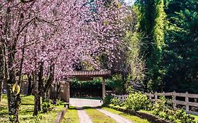 Pousada das Flores